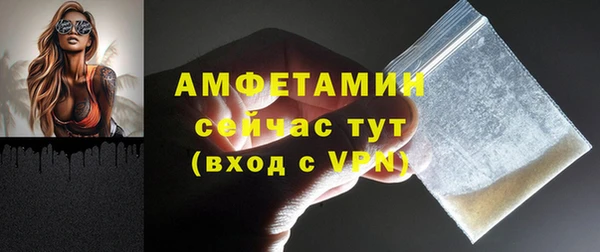 спиды Бородино