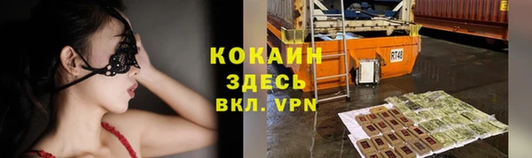 прущие грибы Богданович