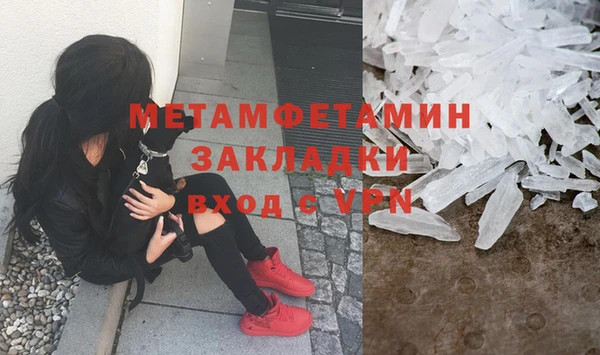 прущие грибы Богданович
