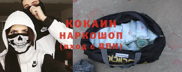 соль ск Богородицк