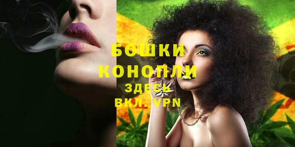 спиды Бородино