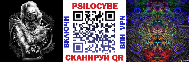 как найти закладки  Волгореченск  Псилоцибиновые грибы прущие грибы 